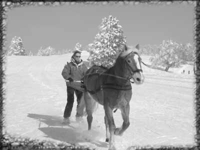 CLIQUEZ POUR ENTRER SKI JOERING